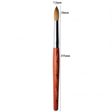 Brush AAA Chisel Number 16